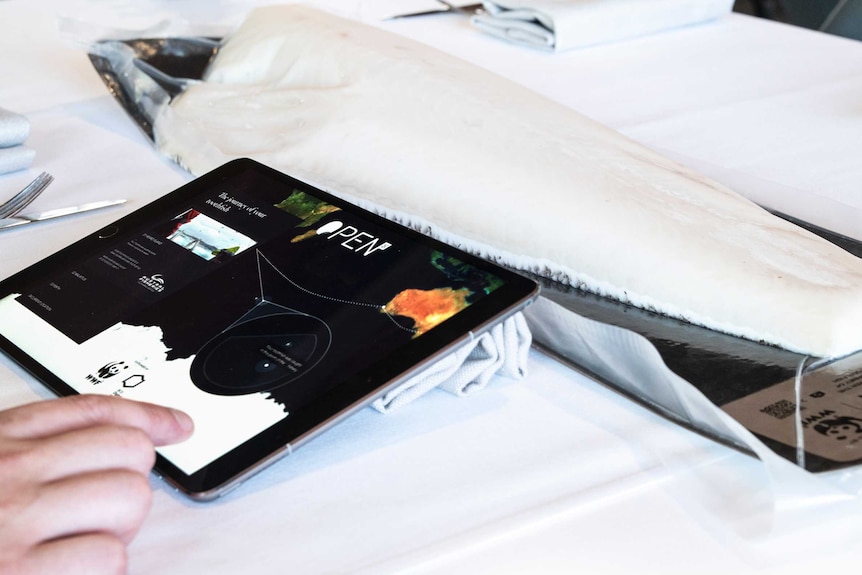 An iPad sits next to a fillet of fish on a table with a white table cloth. The iPad displays a tracking device.