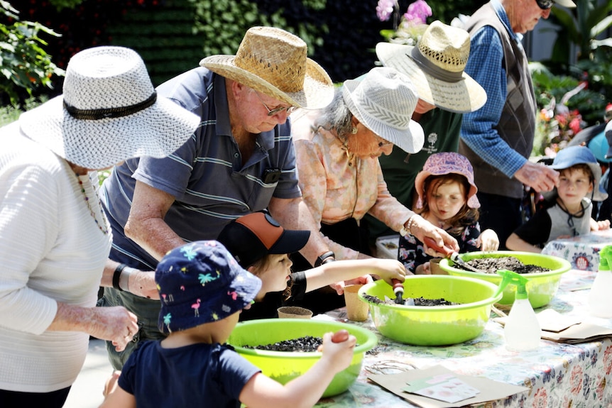 A row of older Australians wearing sunhats gardening with a row of small children.