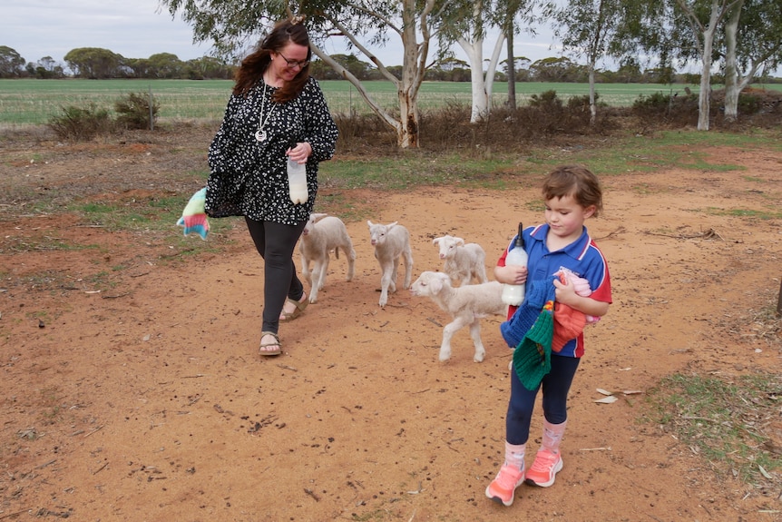 A woman and small girl carry bottles of milk as four lambs follow closely behind.