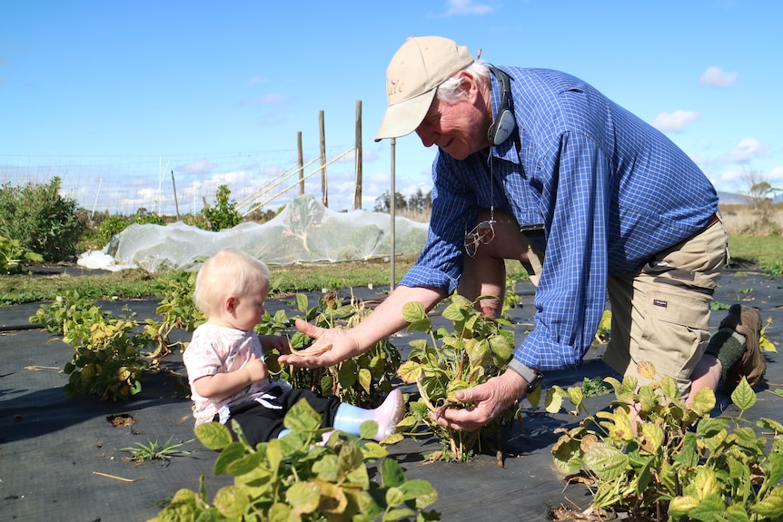 A man kneels in between bean plants next to a toddler