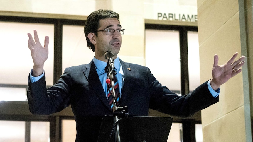 Liberal MP Nick Goiran, with arms spread wide, speaks into a microphone outside State Parliament.