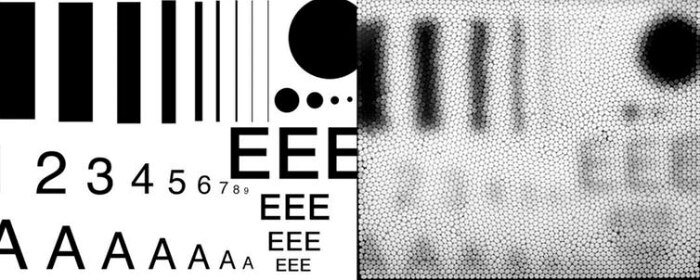 How we see fine detail with our eyes, and how a bee camera views the same info.