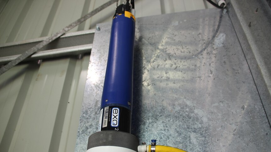 A blue sonde in a shed which monitors water quality in the Bloomfield River