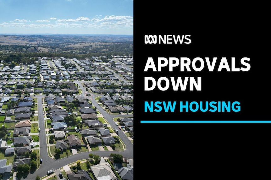 Approvals Down, NSW Housing: Aerial view of a suburban houses.