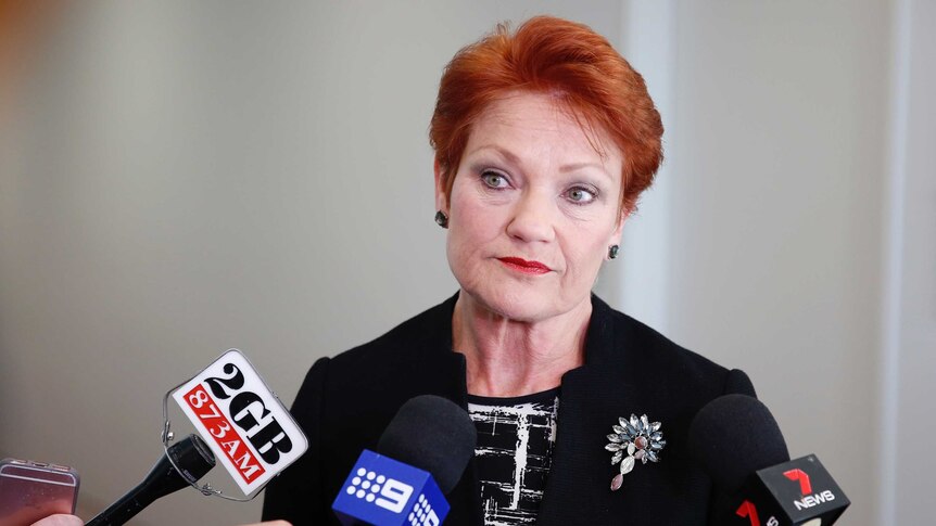 Pauline Hanson, wearing a black jacket with a brooch, purses her lips and raises her eyebrows. She's surrounded by microphones