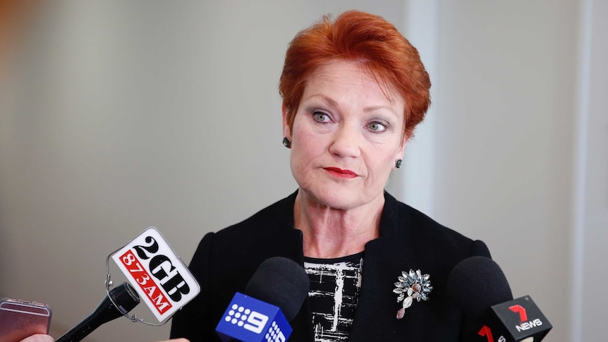 Pauline Hanson, wearing a black jacket with a brooch, purses her lips and raises her eyebrows. She's surrounded by microphones