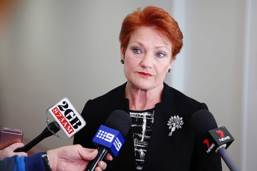 Pauline Hanson, wearing a black jacket with a brooch, purses her lips and raises her eyebrows. She's surrounded by microphones