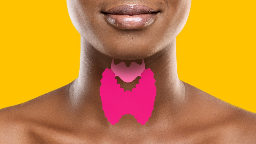 A close up of a woman's neck, with a pink butterfly shaped graphic where the thyroid gland would be