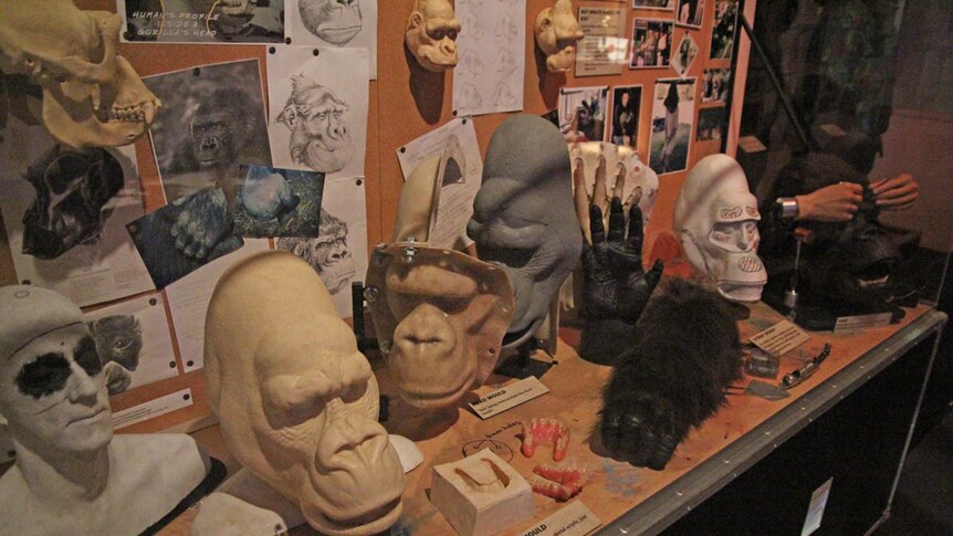 Showing the process to make a movie prop gorilla head