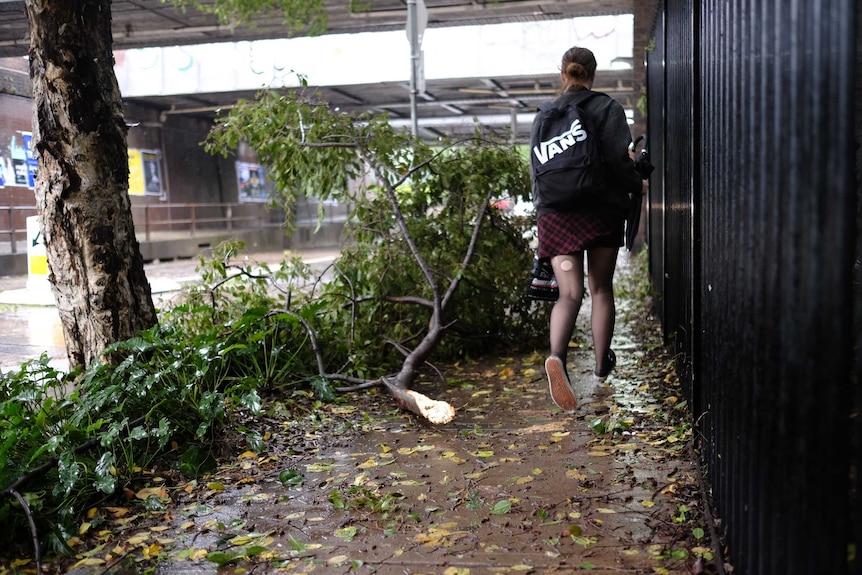 Sydney pathway littered with debris