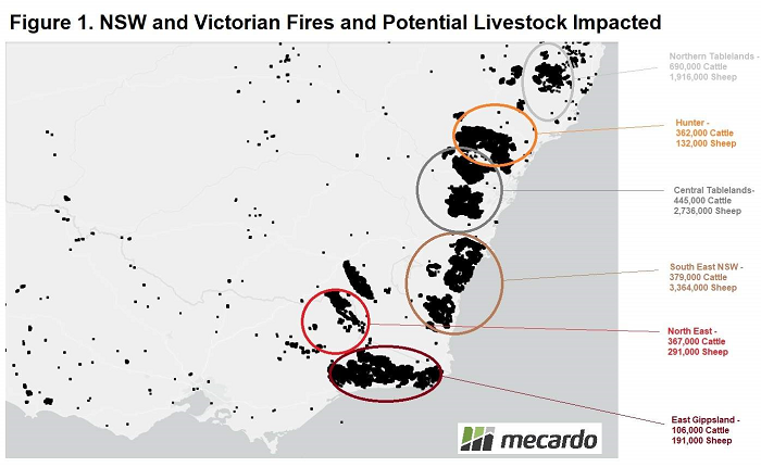 A map of NSW and Victorian Fires and potential livestock impact