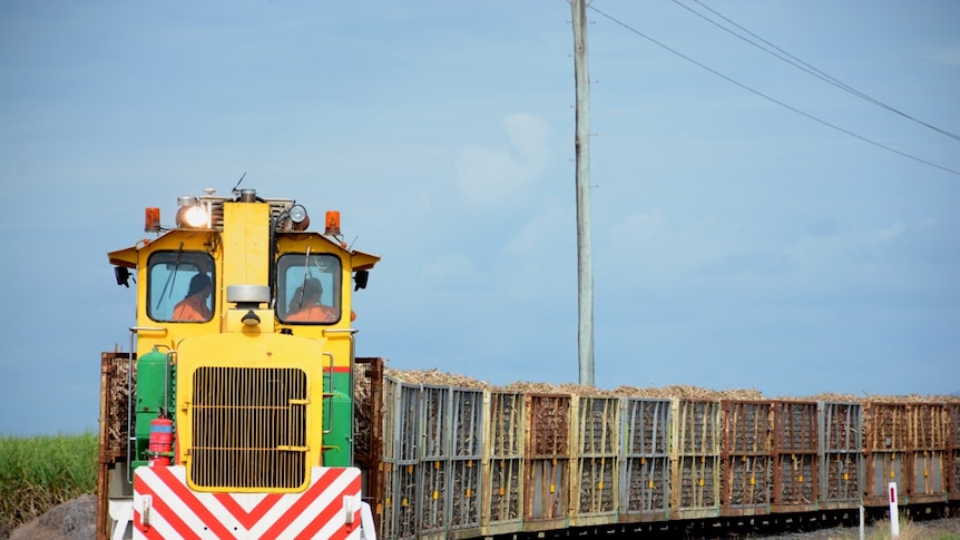 Cane train in the Mackay region