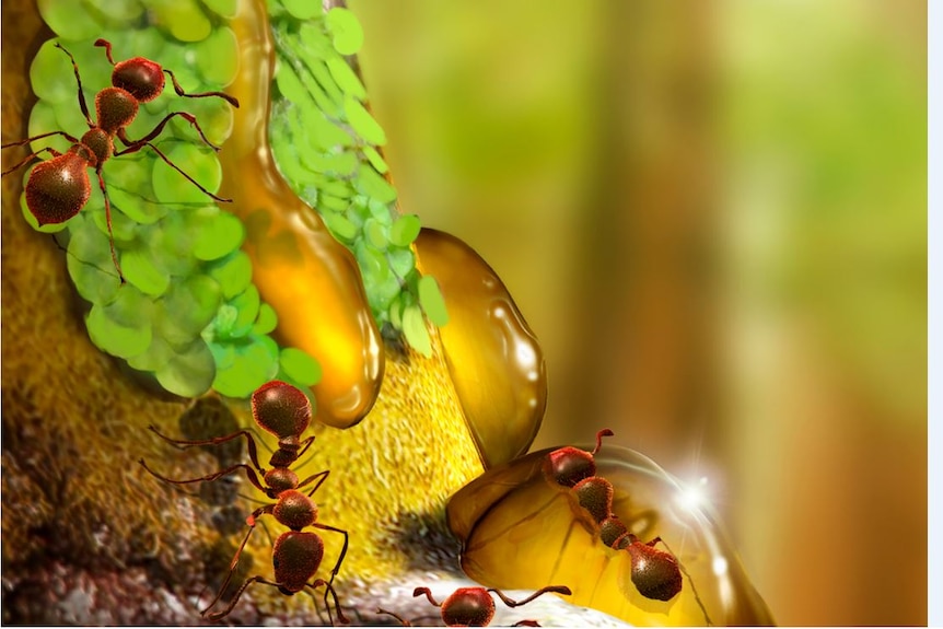 Artist's impression of the ants and new liverwort species before they get trapped in tree resin.