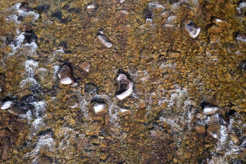 An aerial shot of clear water running over rocks.