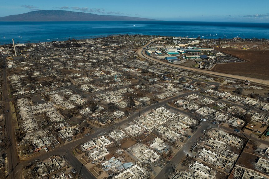 An aerial shot of the city of Lahaina with most buildings destroyed by wildfire