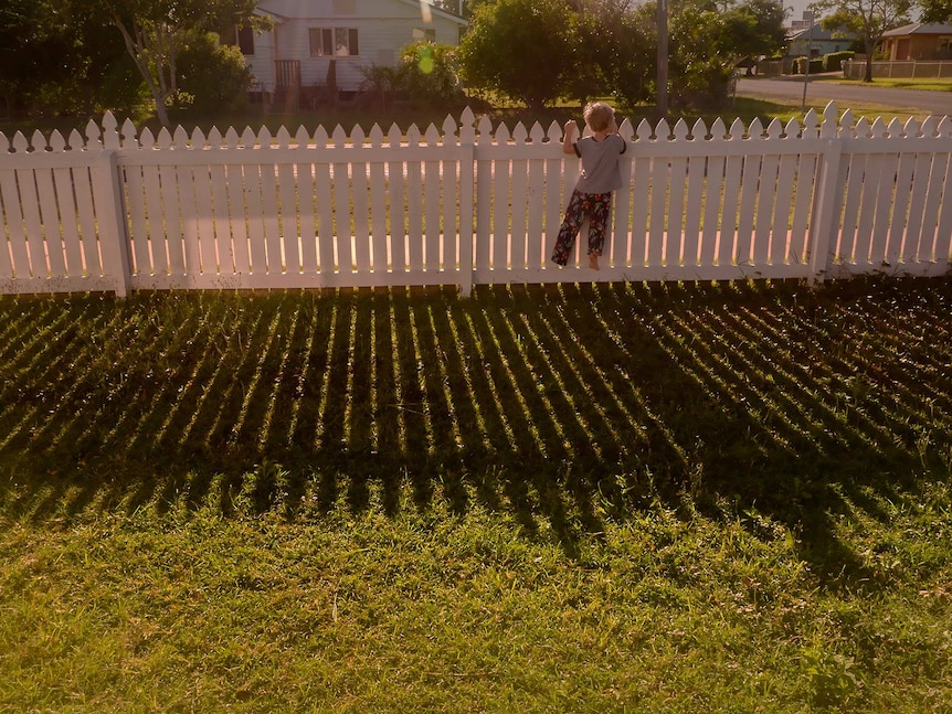 A boy in his pyjamas stands on the white picket fence at sunset peering out at the street