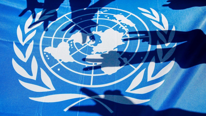 The UN flag - a white world map between two olive branches on a blue background, with shadows of hands making peace signs