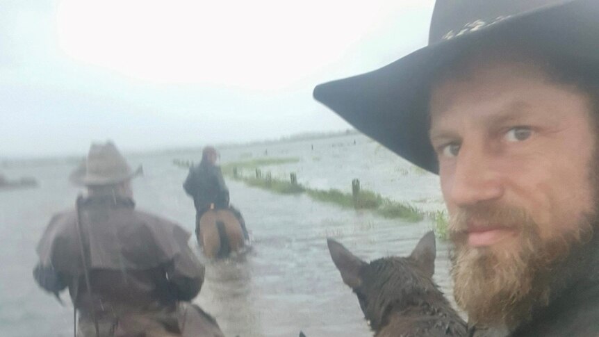 'Not dying on our watch': Local heroes come from nowhere to rescue floundering horses