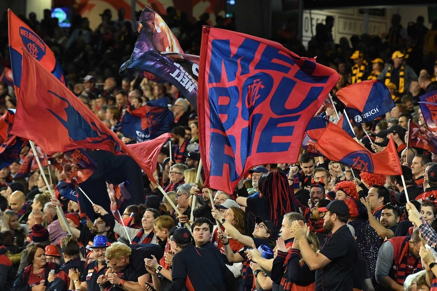 Supporters in a grandstand wave red and navy banners