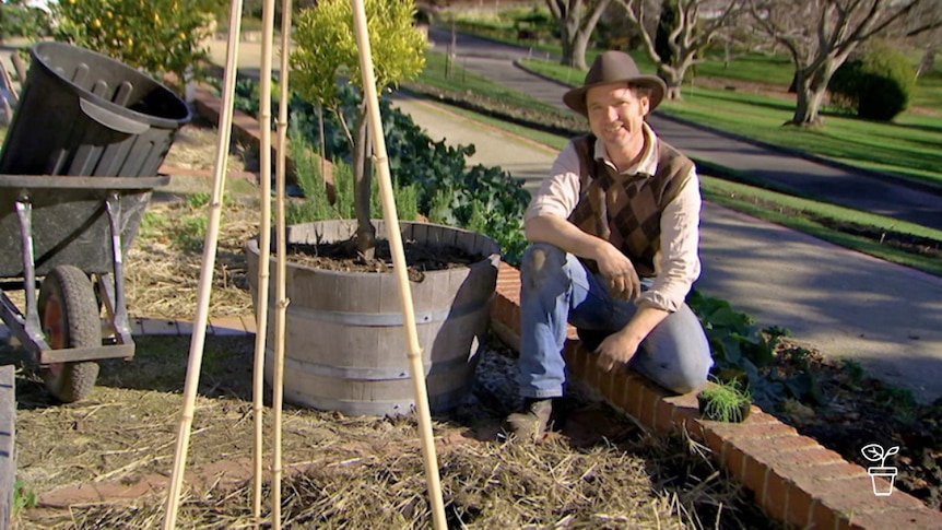 Man in hat sitting on edge of garden vegie bed with wooden teepee climbing frame at his side