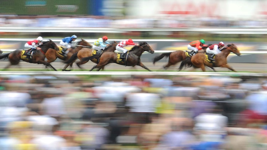 Horses race for the finish during race five at Flemington racecourse