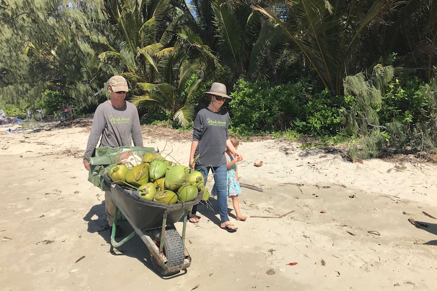 A man, woman and child walk along a beach. The man is pushing a wheelbarrow filled with coconuts.