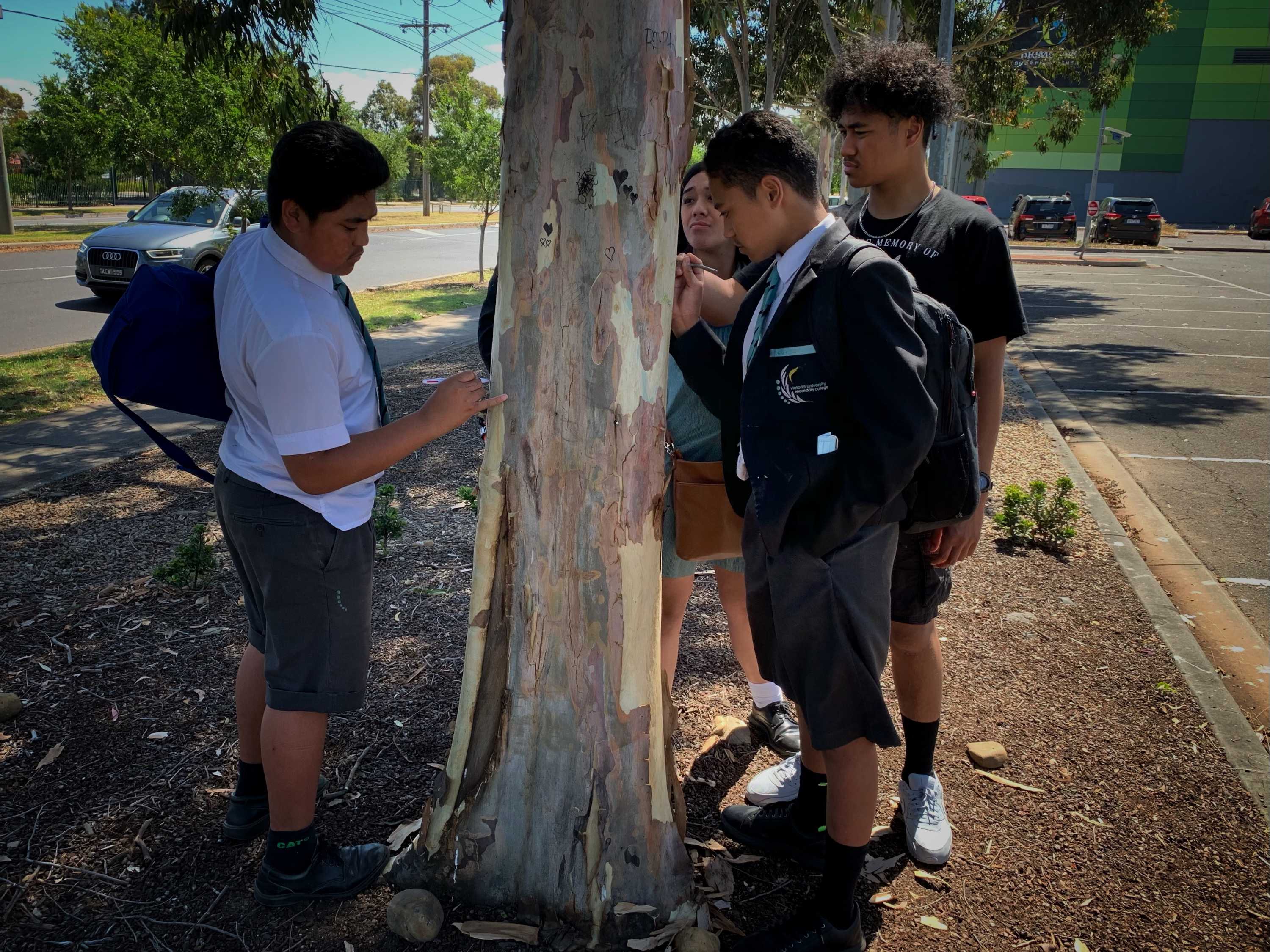 Four teenage boys in their school uniforms etch tributes into a tree.
