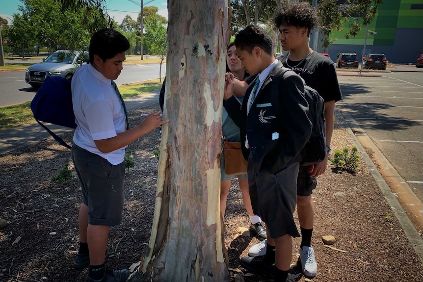 Four teenage boys in their school uniforms etch tributes into a tree.