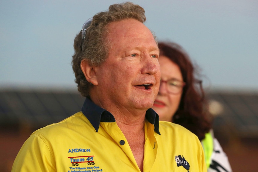 A grey-haired Andrew Forrest in a bright yellow work shirt speaks with a mine site behind him.