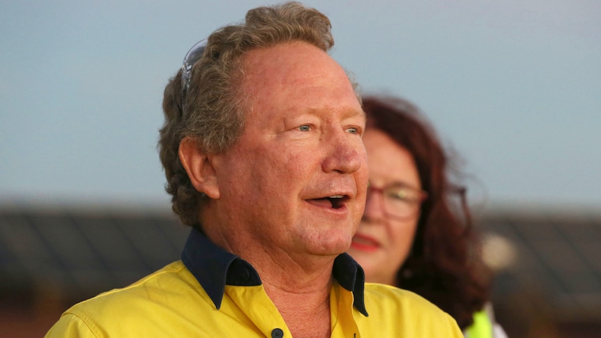 A grey-haired Andrew Forrest in a bright yellow work shirt speaks with a mine site behind him.