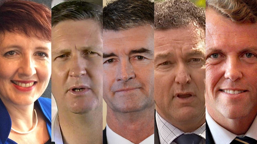 (LtoR) Fiona Simpson, Lawrence Springborg, Tim Mander, John-Paul Langbroek, Scott Emerson