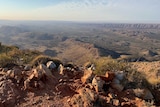 A view of the Central Australian landscape from Mount Sonder.