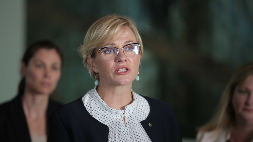 Zali Steggall addresses the media while speaking in a hall with murals