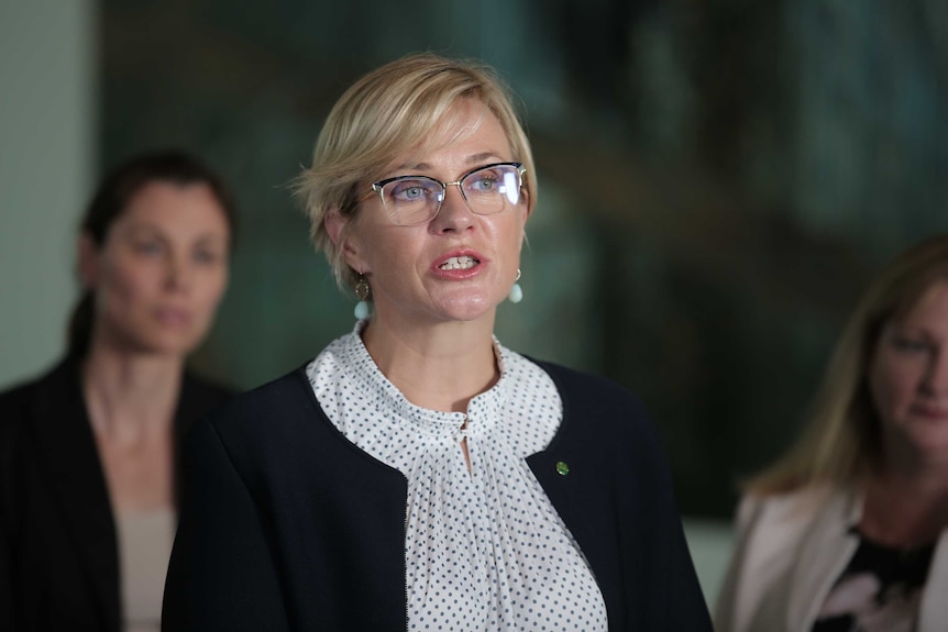 Zali Steggall addresses the media while speaking in a hall with murals