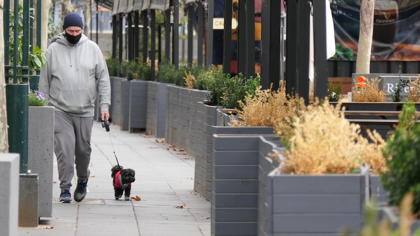 A man wearing a face mask and a beanie walks his dog in quite Melbourne CBD streets.
