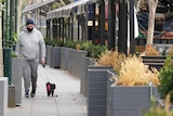 A man wearing a face mask and a beanie walks his dog in quite Melbourne CBD streets.