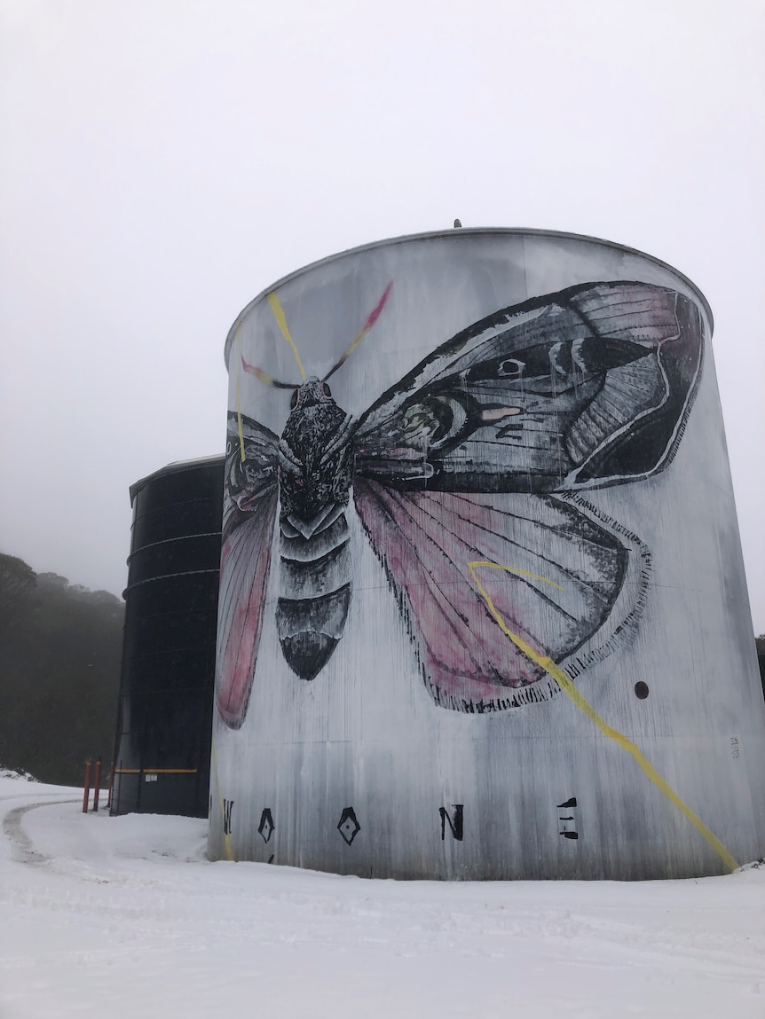A moth painted on the side of a big water tank