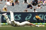 Australia batsman Tim Paine dives into the grass to complete a run during a Test at the MCG.