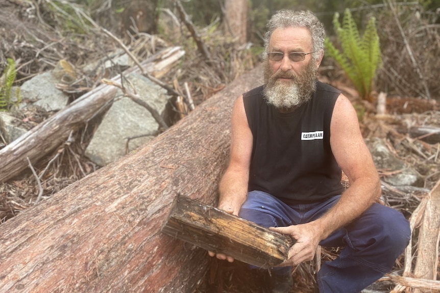 Tim Morris holds a log in a forest.