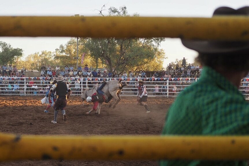 A rider is thrown from a bull in the centre of the ring at the Kununurra Rodeo.