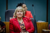 Eva Lawler wears a red jacket and looks seriously in front of her. She is in NT Parliament. 