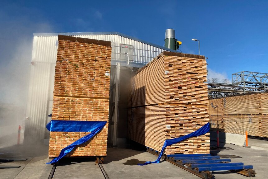 Milled timber is stacked neatly and steaming, outside a large kiln shed