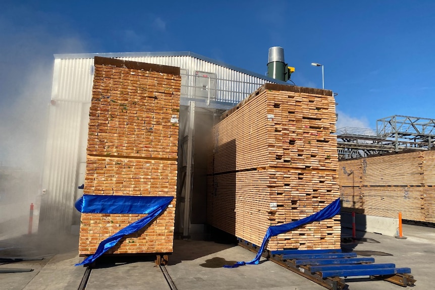 Milled timber is stacked neatly and steaming, outside a large kiln shed