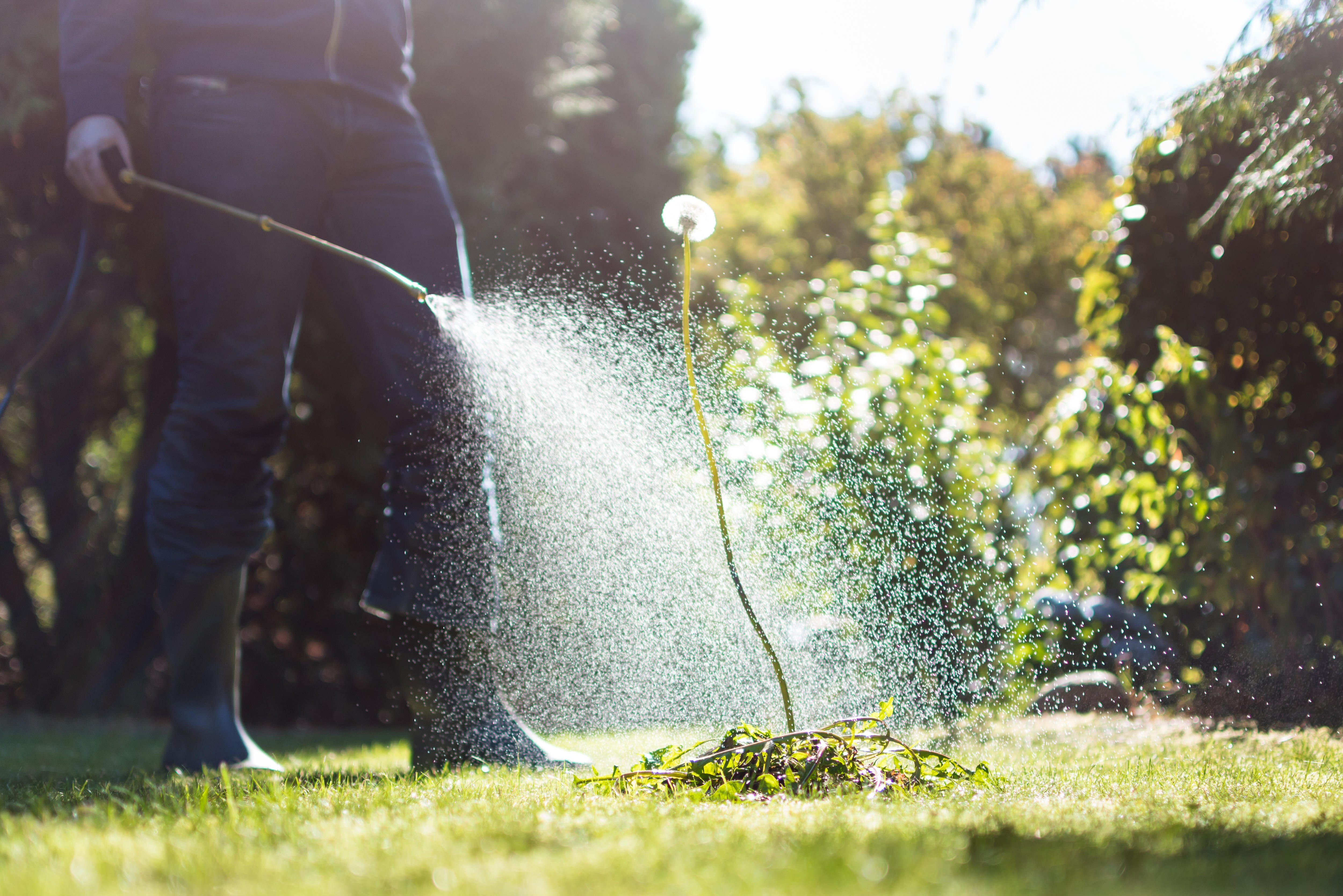 What weed management teaches us about cancer treatment