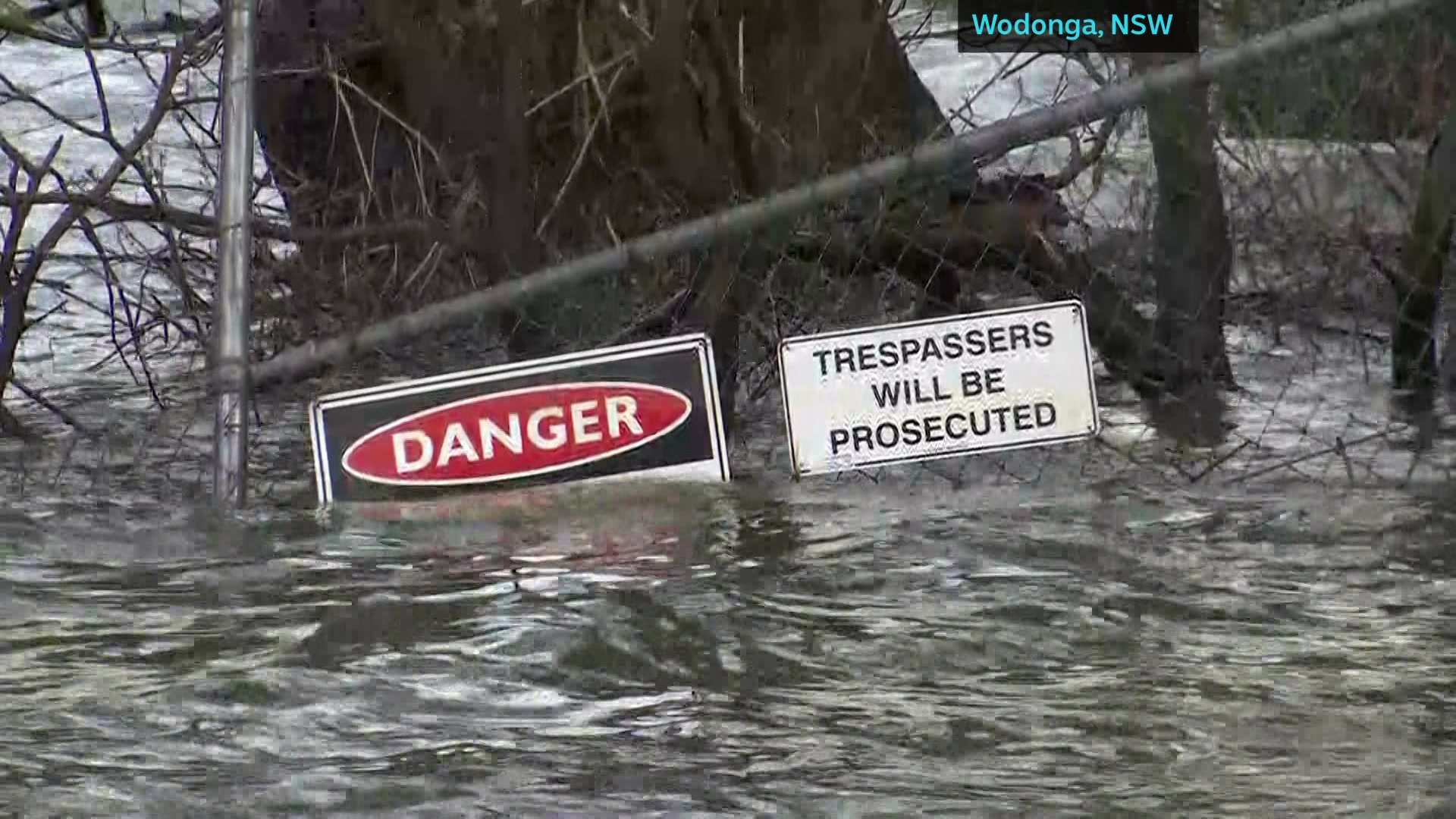 Heavy rain in Victoria and NSW force road closure - ABC News