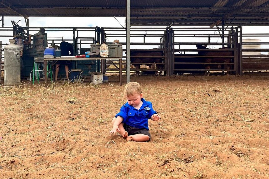A baby boy wearing a blue collared shirt sits in red dirt in the outback