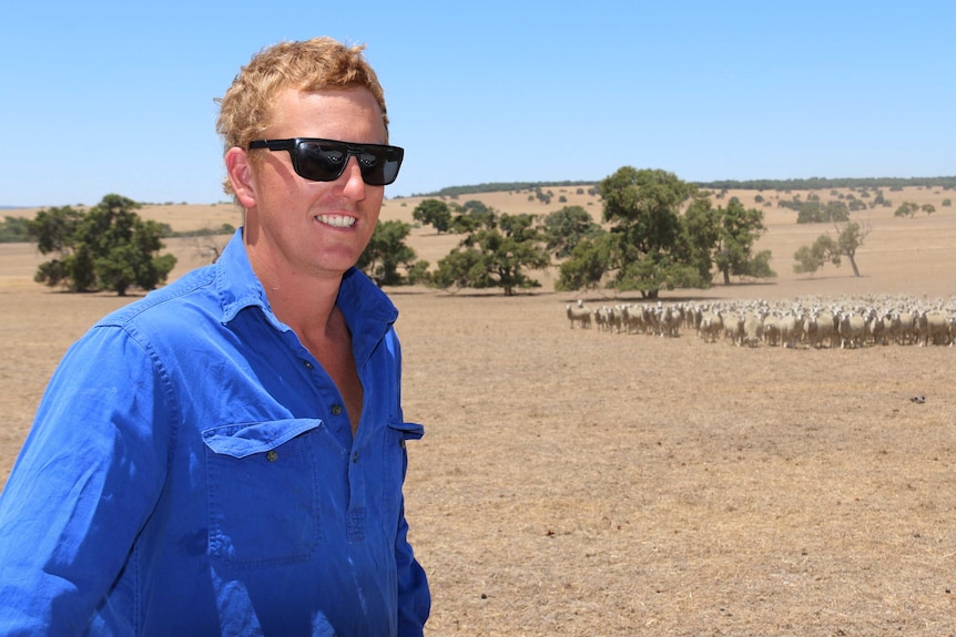 Duncan Glasford stands in a farm paddock in front of a flock of sheep wearing a blue shirt and sunglasses.