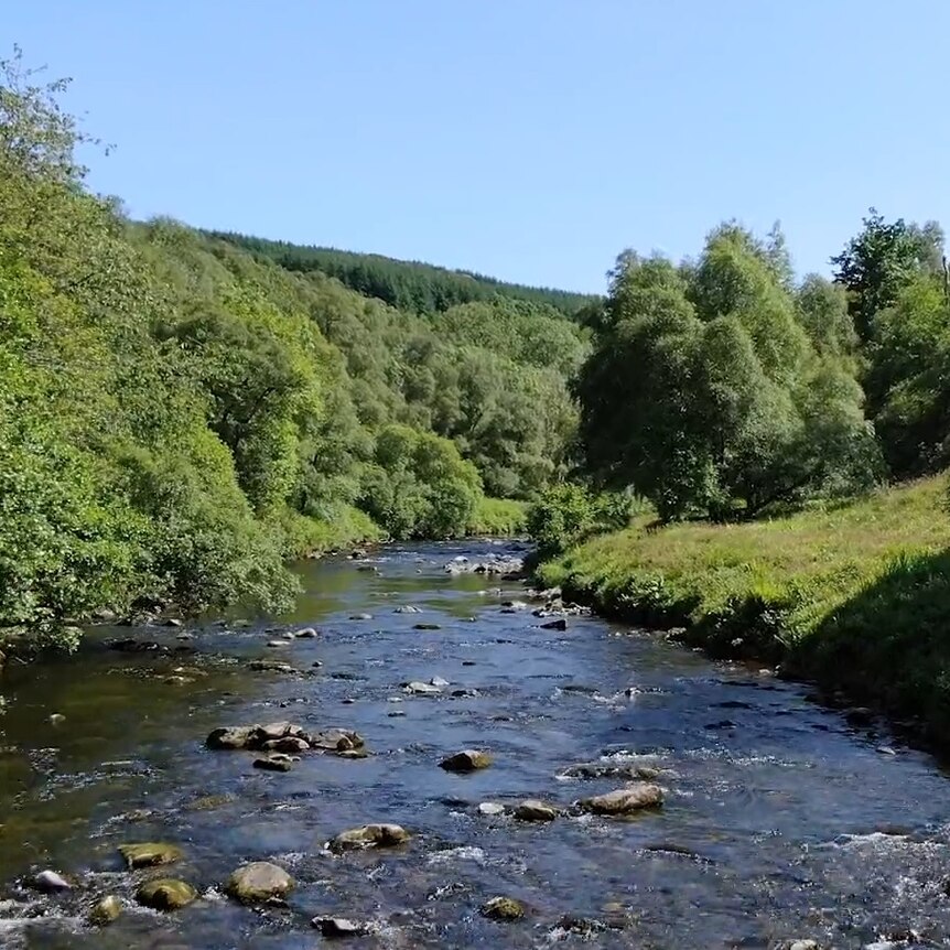  A free flowing river surrounded by lush forests in the hills above Loch Ness in Scotland 