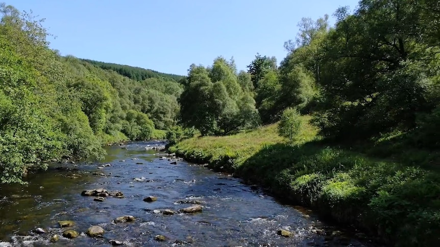  A free flowing river surrounded by lush forests in the hills above Loch Ness in Scotland 