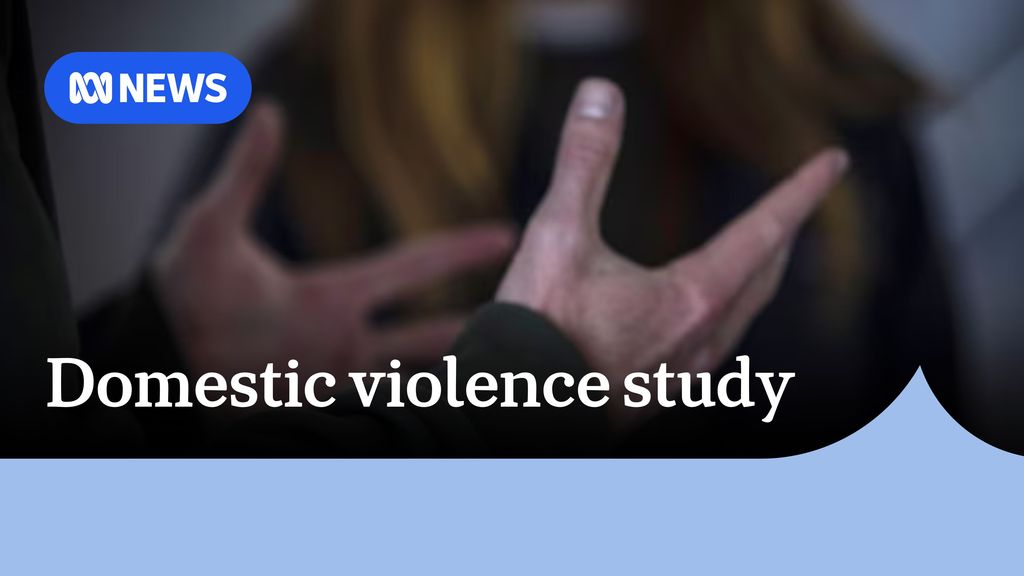 Report shows extent of family and domestic violence in NSW - ABC News